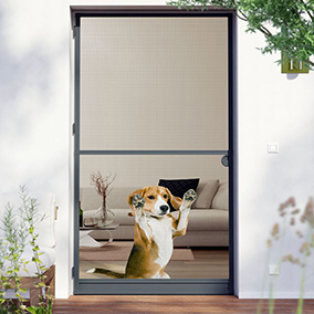 Anti-insect window & door